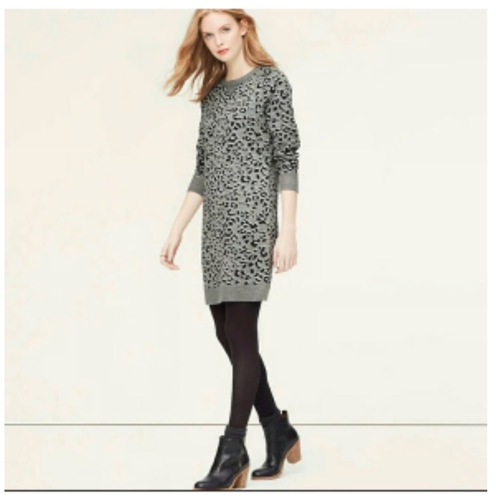 2/$25 Loft// leopard sweater dress, size M
